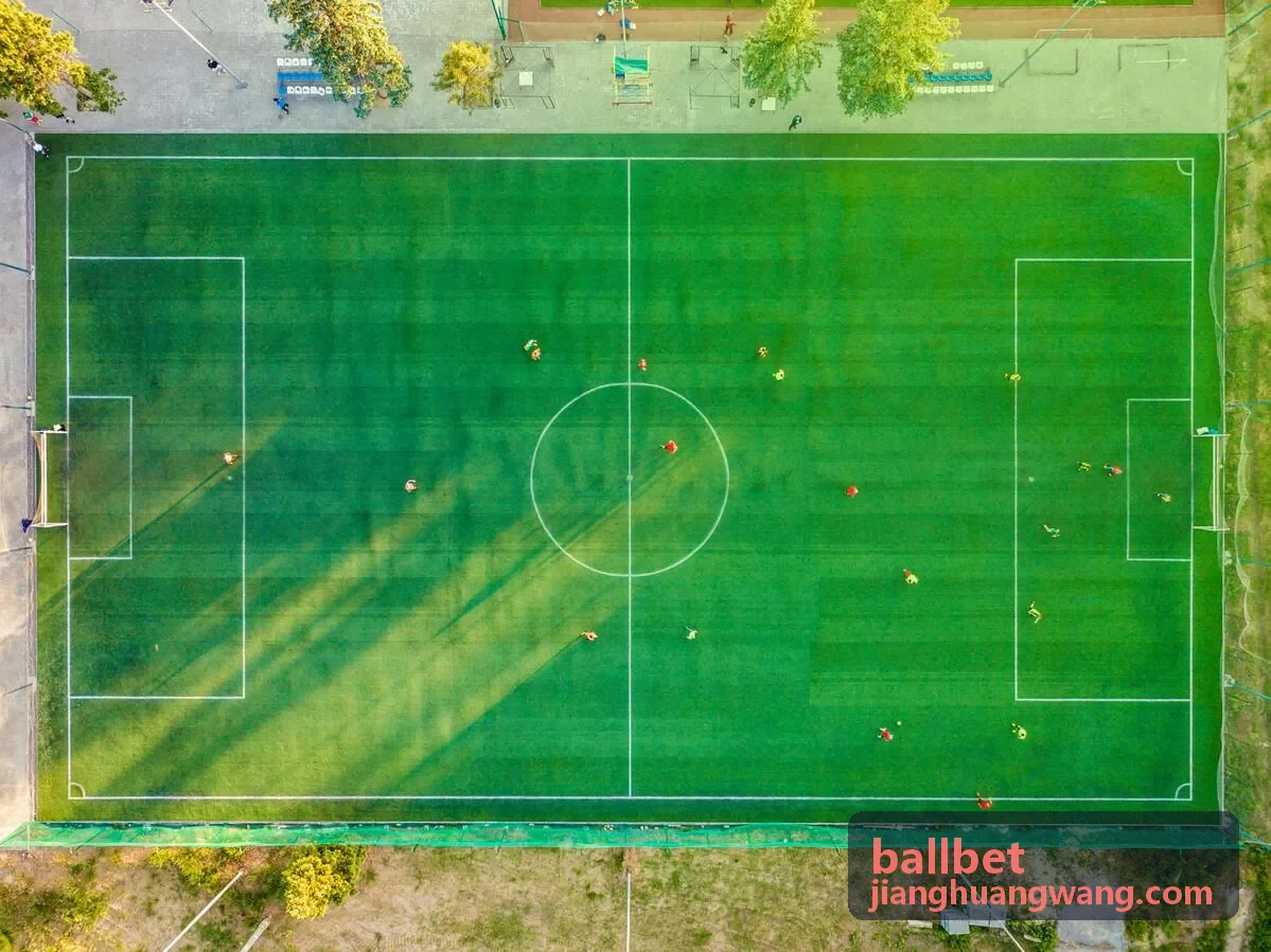 BallBet 贝王合作案例欧洲杯